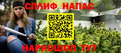 сатива Чебоксары