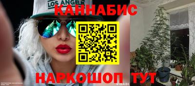 сатива Чебоксары