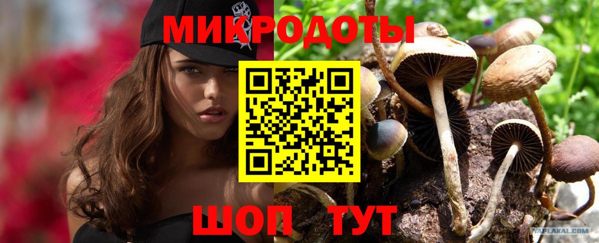 Сосновоборск  Псилоцибиновые грибы Psilocybe  Вход с VPN  купить   Псилоцибиновые грибы мицелий 